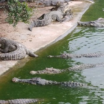Isdaan Floating Restaurant - Croc sanctuary - Seafood Near Me - Quezon, BUK