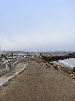 The Wave Organ by null