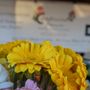 Photo of Morro Bay Thursday Farmers Market