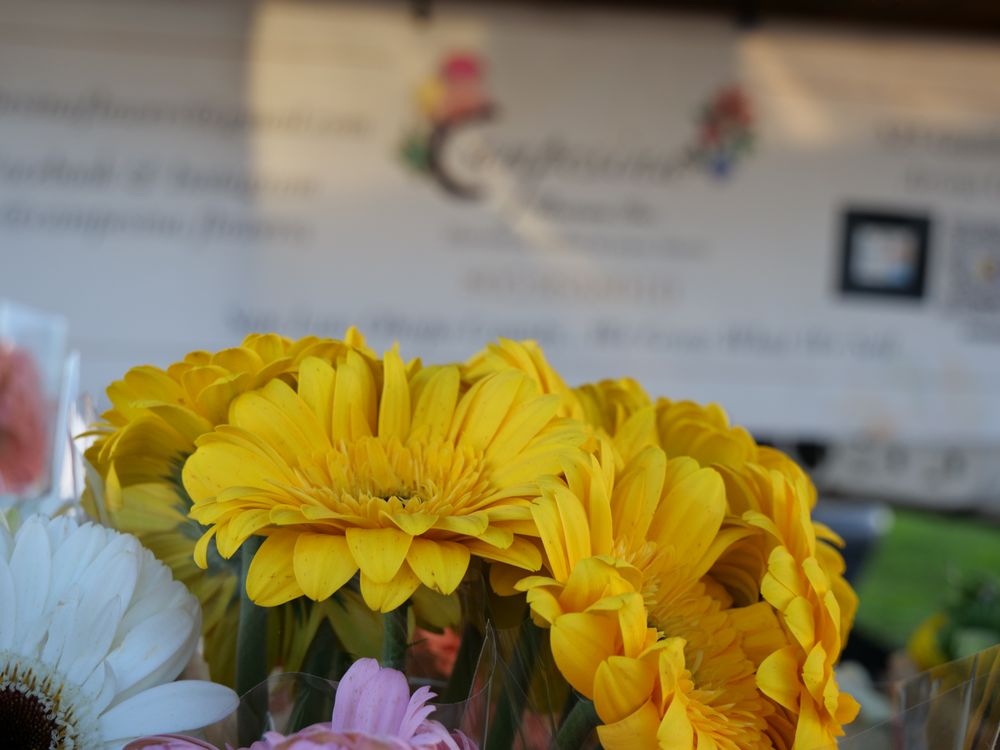 Morro Bay Thursday Farmers Market Logo