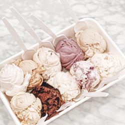 Jeni's Splendid Ice Creams - | ICE CREAM FLIGHT |