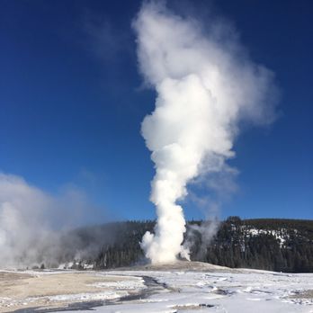 Scenic Safaris - Tours Near Me - Jackson, Wyoming Scenic Safaris - Tours Near Me - Jackson, Wyoming