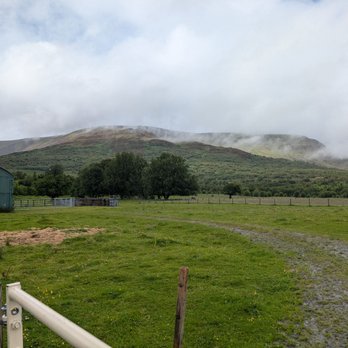 Timberbush Tours - Tours Near Me - Edinburgh, EDH