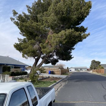 Mason's Treescape - Tree Services Near Me - Hesperia, California Mason's Treescape - Tree Services Near Me - Hesperia, California