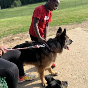 Deer Lick Park - Skate Parks Near Me - Douglasville, Georgia