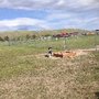 Photo of Montpelier Dog Park