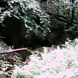 Amselfall