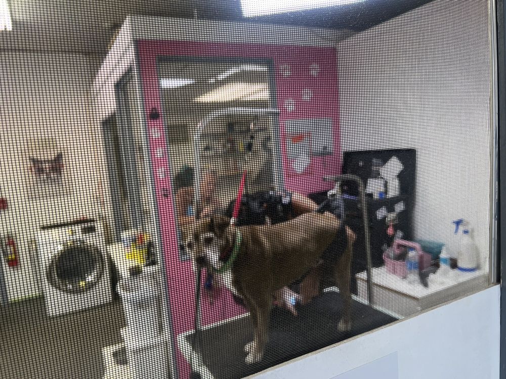 Paw Spa Image