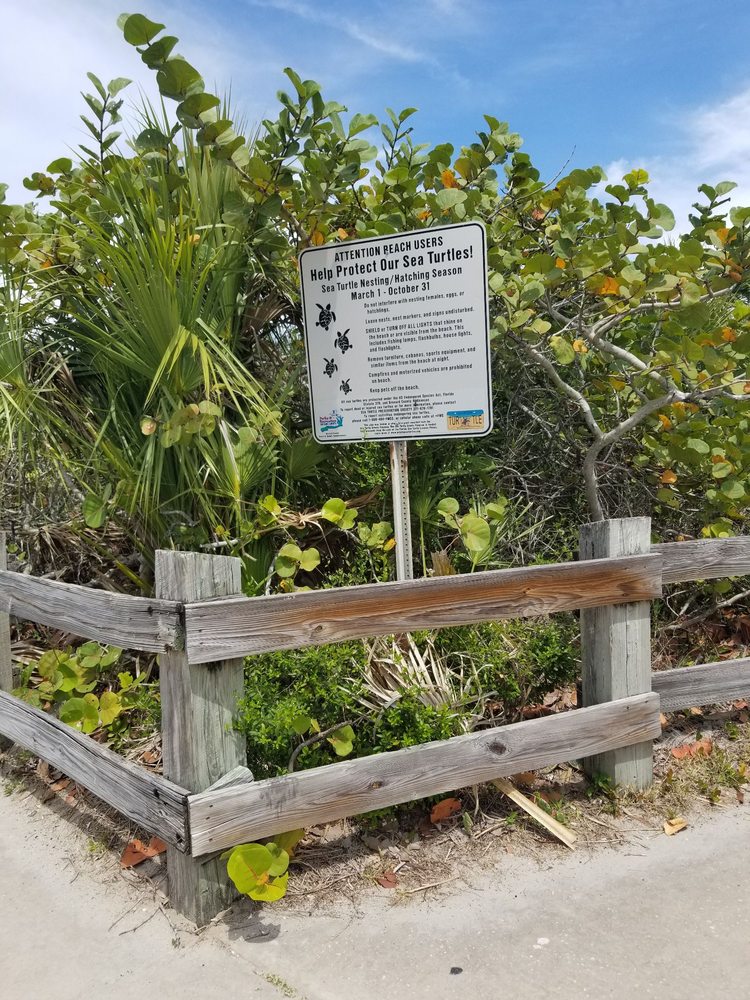 Lori Wilson Park 124 Photos & 71 Reviews Parks 1500 N Atlantic