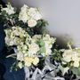 Photo of Fleur de Lis Florist