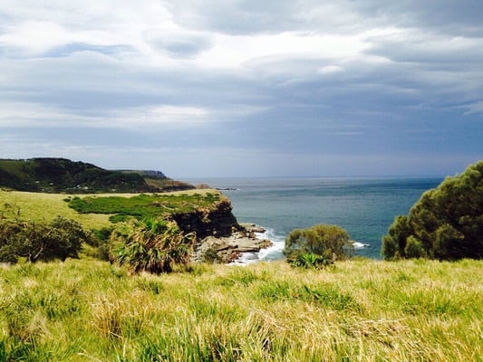 Royal National Park by null