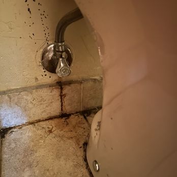 Adolfo's Plumbing & Rooter - Leaking toilet due to no wax ring installed when drain pipe was replaced. - Plumbing Near Me Adolfo's Plumbing & Rooter - Leaking toilet due to no wax ring installed when drain pipe was replaced. - Plumbing Near Me