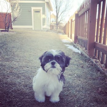 Bark Me Beautiful - Pet Groomers Near Me - Longmont, Colorado Bark Me Beautiful - Pet Groomers Near Me - Longmont, Colorado