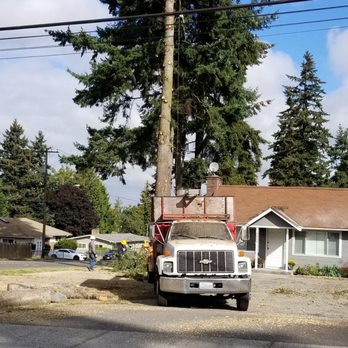 All Seasons Tree Service - Tree Services Near Me All Seasons Tree Service - Tree Services Near Me