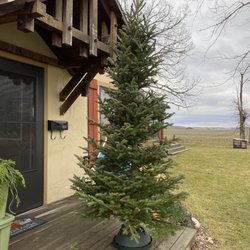 Dudecks Pine Country