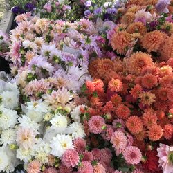 Sunny Meadows Flower Farm