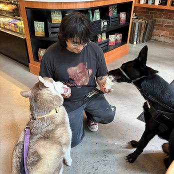 Victrola Coffee Roasters - Kind staff offered us pup cup! - Coffee Roasteries Near Me - Seattle, Washington