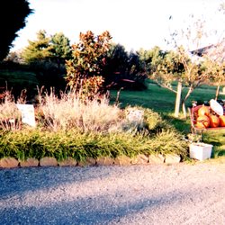 Herb'n Craft - The front in the Fall