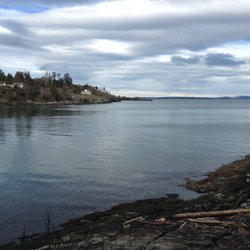 Hollydene Park Saanich - View from the beach.