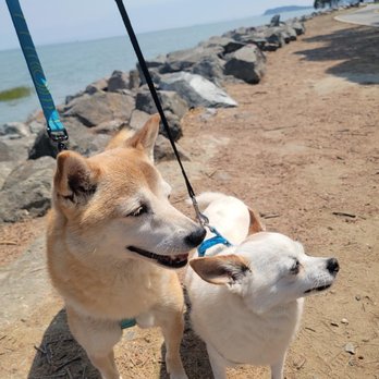 Bayfront Park - Kyna and Paco. - Parks Near Me - Millbrae, California