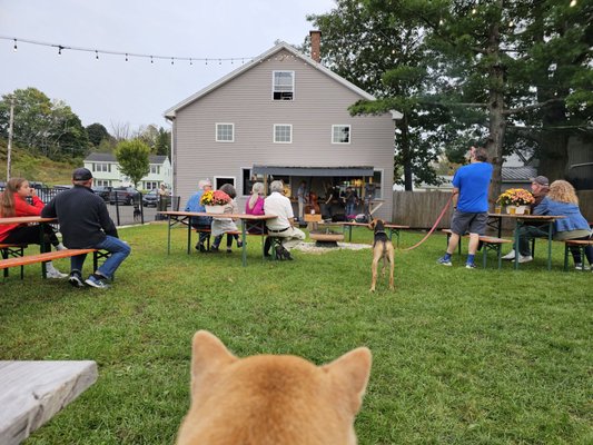 Modestman Brewing by null