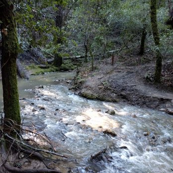 Monte Bello Open Space Preserve - This Creek has to be crossed - Hiking Near Me - Palo Alto, California Monte Bello Open Space Preserve - This Creek has to be crossed - Hiking Near Me - Palo Alto, California
