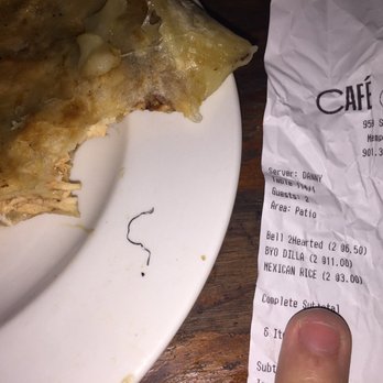 Cafe Olé - Found a Brillo pad bristle (?) in my mouth while eating leftover quesadilla. Also got food poisoning a few months ago. I'll never go back - Mexican Near Me - Memphis, Tennessee Cafe Olé - Found a Brillo pad bristle (?) in my mouth while eating leftover quesadilla. Also got food poisoning a few months ago. I'll never go back - Mexican Near Me - Memphis, Tennessee