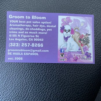Groom To Bloom - Pet Groomers Near Me - Los Angeles, California