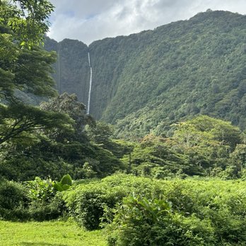 Waipio Valley Shuttle - View of the waterfall - Tours Near Me - Honokaa, Hawaii