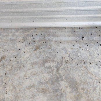 42nd St Mini Storage - Feces on floor of the unit - Self Storage Near Me - Springfield, Oregon