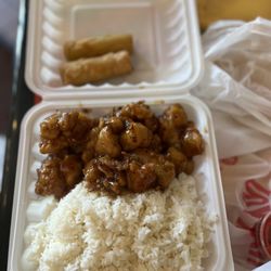 Rice Bowl - 04. Orange Chicken Combo Plate