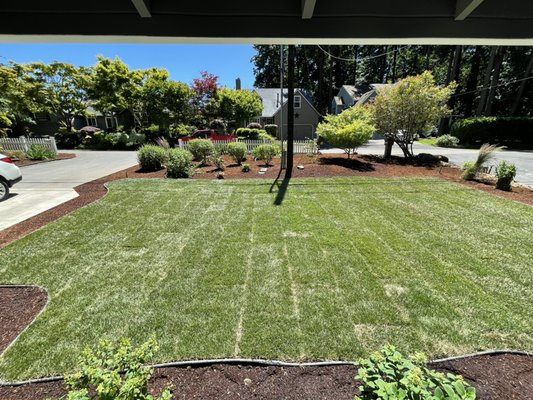 Turf / Sod Installation - Turf & Sod Installation
Yard design Turf / Sod Installation - Turf & Sod Installation
Yard design