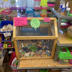 Riley's T Shirts - The small and dirty enclosure