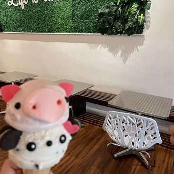 Eli's Ark - Gelato Near Me - Chicago, Illinois Eli's Ark - Gelato Near Me - Chicago, Illinois