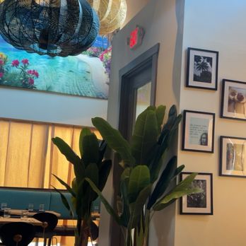 Dougla Kitchen - Caribbean Near Me - Oklahoma City, Oklahoma Dougla Kitchen - Caribbean Near Me - Oklahoma City, Oklahoma