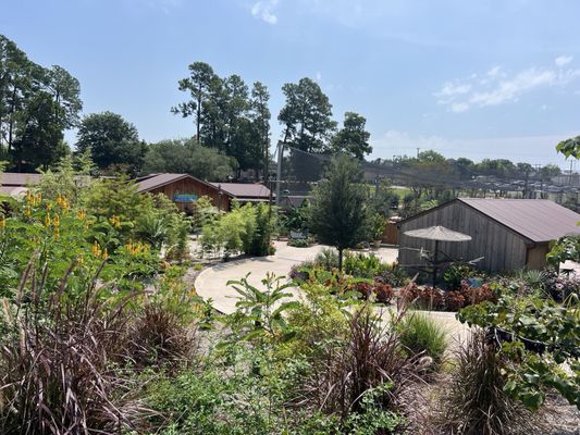 Caldwell Zoo by null