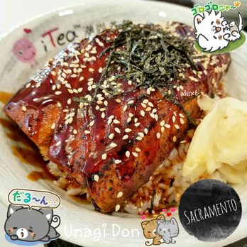 i-Tea - unagi don! eel over rice.... yumssss..... - Ramen Near Me - Sacramento, California i-Tea - unagi don! eel over rice.... yumssss..... - Ramen Near Me - Sacramento, California