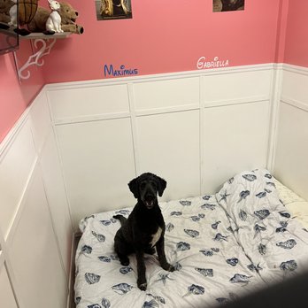 Pet Bazaar NC - Pet Sitting Near Me - Carolina Beach, North Carolina Pet Bazaar NC - Pet Sitting Near Me - Carolina Beach, North Carolina