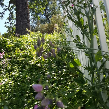 A Bed of Roses - Bed & Breakfast Near Me - Oakhurst, California A Bed of Roses - Bed & Breakfast Near Me - Oakhurst, California