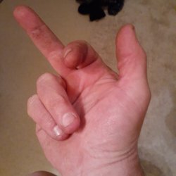 Truckwell of Alaska - Dilligaf?