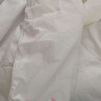 Quality Inn and Suites - Bed spread used and dirty - Hotels Near Me - Ruther Glen, Virginia Quality Inn and Suites - Bed spread used and dirty - Hotels Near Me - Ruther Glen, Virginia