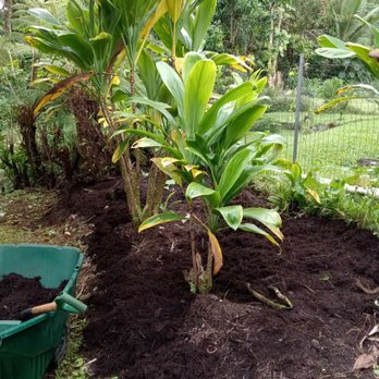 Affordable Gardening - Gardeners Near Me