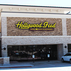 Hollywood Feed