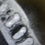 Photo of Craig D Johnson, DDS , MS, PC