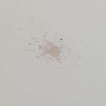 Ameristar Black Hawk - Blood splatter on ceiling - Casinos Near Me - Black Hawk, Colorado