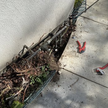 Barragan Landscaping & Irrigation - Landscaper Santa Clarita - Irrigation Near Me - San Fernando, California
