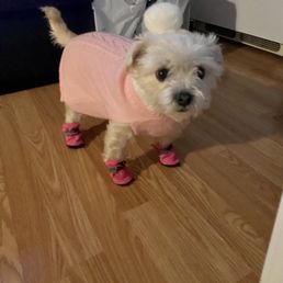 Betty Betty