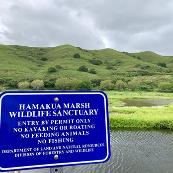 Lanikai Brewing - Hamakua Marsh. Source of Lanikai Brewing Co's awesome spontaneously-fermented beers. - Brewpubs Near Me - Kailua, Hawaii Lanikai Brewing - Hamakua Marsh. Source of Lanikai Brewing Co's awesome spontaneously-fermented beers. - Brewpubs Near Me - Kailua, Hawaii