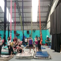 Tela Circo