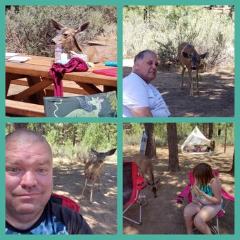 Frenchman Lake Recreation Area - Campgrounds Near Me - Chilcoot, California